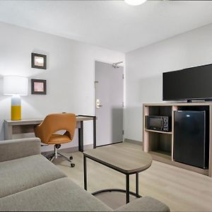 1 King Bed Suite 2 Person Sofabed